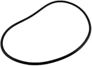 Jandy Zodiac Backplate Seal O-Ring for FloPro FHPM Series Pump R0480300