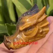 2.3" Natural Tiger's eye jasper Dragon Skull Quartz Crystal Skull Figurines 1pc