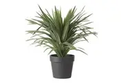 Rogue Sisal Artificial Plant UV Resistant Indoor Outdoor Fake Potted Plant 48cm