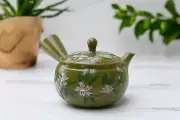 Green Kuysu with Flowers - Japanese Handmade Teapot with Tea Strainer - 14 fl oz