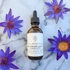 Organic Cold-Pressed Moringa Seed Oil Infused with Blue Lotus 1oz – Premium Skin