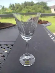 Vintage Mikasa Crystal Dune Grass Wine Glass 359326 W Germany 1980s Discontinued