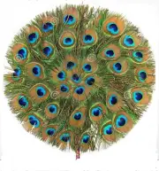 Natural Peacock Feather Fan for Puja and Home Decoration Pack of 1