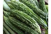 BITTER MELON / BITTER GOURD / BALSAM PEAR / KARELA - 'Long' seeds