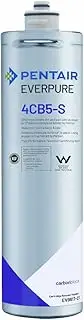 Everpure EV9617-21 4CB5-S Filter Cartridge