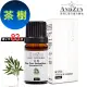 【 ANDZEN 】單方純精油10ml-茶樹 天然 草本