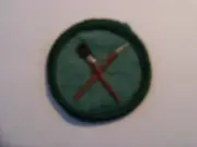 Girl Scout Intermediate Badge: PRINTS - Light Green Cheesecloth Backing