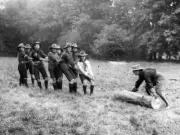 Boy Scout Old Photo - Group of Boy Scouts on camp haul a log of wood.