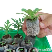 在飛比找Yahoo!奇摩拍賣優惠-現貨 戀戀軒|種子提高發芽育苗套餐 塑料育苗盒 育苗塊送種子