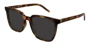 Saint Laurent SL M146/K Asian Fit 003 Men's Sunglasses Tortoiseshell Size 56