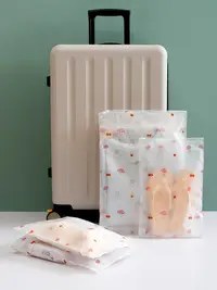 在飛比找松果購物優惠-透明防水收納袋行李箱物品分裝適用於待產旅行嬰兒用品收納 (4