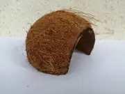 Coconut Hide for Small Animals ,Hamster, Gerbil & Mouse Hide, 100% Natural