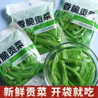 在飛比找蝦皮購物優惠-淳康香脆貢菜 新鮮貢菜280g/袋 火鍋伴侶 涼拌貢菜 即食