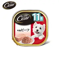 在飛比找蝦皮商城優惠-【Cesar 西莎】 高齡犬配方 - 牛肉 100g (24