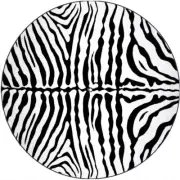 Slipmat Slip Mat for any Felt 12" Turntable LP DJ Record Player ZEBRA Print 1