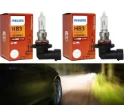 Philips Rally Vision 9005 HB3 100W Two Bulbs Head Light Low Beam High Watt Fit