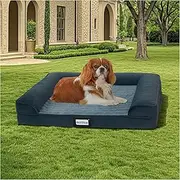 BALANCE Orthopedic Dog Bed, Egg Crate Foam Dog Couch for Pet Sleeping, Pet Sofa with Removable Washable Cover & Waterproof Lining, Comfy Dog Bed for Small Dog, Moonless Night