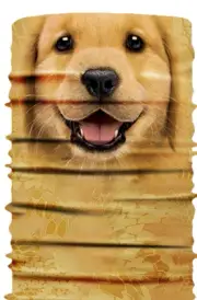 Junk Drawer - Face Mask/Scarf - Neck Gaiter - Golden Retriever - Dog