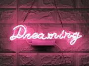 Dreaming Pink Acrylic 14" Neon Lamp Sign Light Gift Show Home Shop Party EM