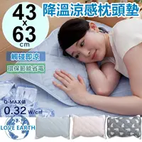 在飛比找松果購物優惠-外銷日本第一 涼感枕頭套 枕頭保潔墊 枕套 枕巾【RS798