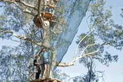 Treetops Ropes Course - Abbotsbury