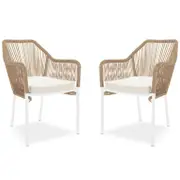 Visayas PE Wicker Outdoor Dining Chair (Set of 2)