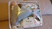 Pixie Fox Quilt Reversible 3 Piece Bedding Set - Gray/Pink - Twin Quilt Set
