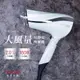 TESCOM 防靜電大風量吹風機 TID2200TW-白【全館免運】