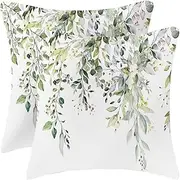 Velvet Floral Spring Green Pillow Covers 20 x 20 Inch Set of 2 Vintage Wild Flowers Decor Sage Green Throw Pillows Leaves Outdoor Farmhouse Wildflower Plant Decorative Cushion for Couch Bed Sofa