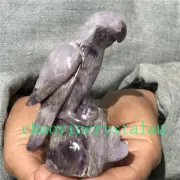 0.37LB Natural Dreamy Amethyst parrot Skull Quartz Crystal Carved Reiki XK1414