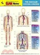 在飛比找三民網路書店優惠-Vascular System & Viscera Anat