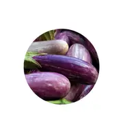 Eggplant Tsakoniki - Seed Packet - Untreated Seed - Spring - Summer