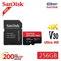 在飛比找momo購物網優惠-【SanDisk 晟碟】[極速升級 全新版] 256GB E