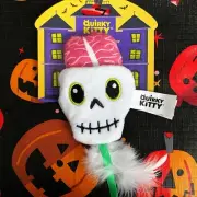 Quirky Kitty Catnip Cat Toy Hide-A-Toy Skull Crinkles Feathers Ribbon Halloween