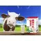 現貨現貨現貨義美牛乳 保久乳(125ml) 果汁台灣生乳製 效期新