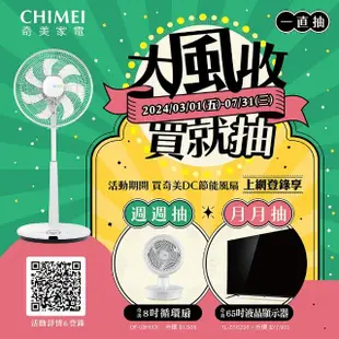 【CHIMEI 奇美】16吋DC節能搖控風扇電扇立扇(DF-16T0SB)