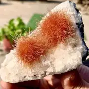192G Indian dandelion zeolite Quartz Crystal Cluster Mineral Specimen