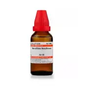 Willmar Schwabe India Homeopathic Beryllium Metallicum Dilution 30ml