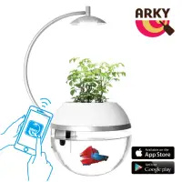 在飛比找momo購物網優惠-【ARKY】香草與魚X智能版Herb&FishR X Con