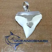 B42 27MM SHARK TOOTH SILVER U WILL GET ITEM IN PHOTO! GIFT