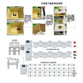 食品級高端水耕箱組合 家庭陽臺種菜盆 荷蘭桶 無土栽培花盆栽 屋頂樓頂蔬菜水培桶 總有機蔬菜水果專用桶設備