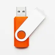 1GB Orange USB 2.0 Flash Drive Wholesale Lot Bulk Memory Stick