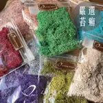 特選AA級⭐｜永生苔癬｜苔癬｜天然苔癬｜MOSS馴鹿苔｜多款顏色25G 🌸LOVEONEFLOWERS🌸嚴選｜