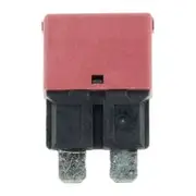 Jaylec 10A 227 Series Type 1 Circuit Breaker - Standard Blade Plug In, CB2810BL