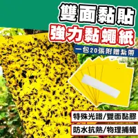 在飛比找momo購物網優惠-【拼創生活】雙面超黏捕蠅紙20入(黏蠅紙 捕蠅紙 黏果蠅 黏