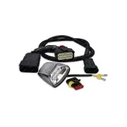 LED Autolamps CAT6 Side Direction Indicator for Ford Ranger MY22 Bulk Pack