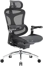 2024 SIHOO Doro C300 Pro Ergonomic Office Chair with Ultra Soft 6D Armrests, Dynamic Lumbar Support for Home Office Chair, Adjustable Backrest Desk Chair, Swivel Big and Tall Office Chair (Black)