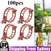 100Pcs Tomato Greenhouse Ties Veggie Plant Support Clips Garden Trellis Stake AU