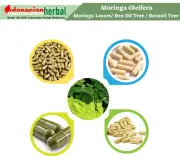 Capsule Of Pure Moringa Oleifera Moringa Leaves Drumstick Organic Natural Herbal