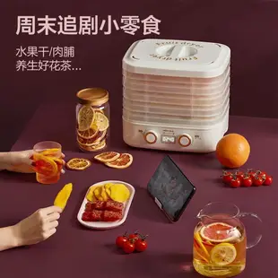 廚房家用電器 實用實惠裝 金正乾果機家用食品烘乾機水果蔬菜寵物肉類食物脫水風乾機小型